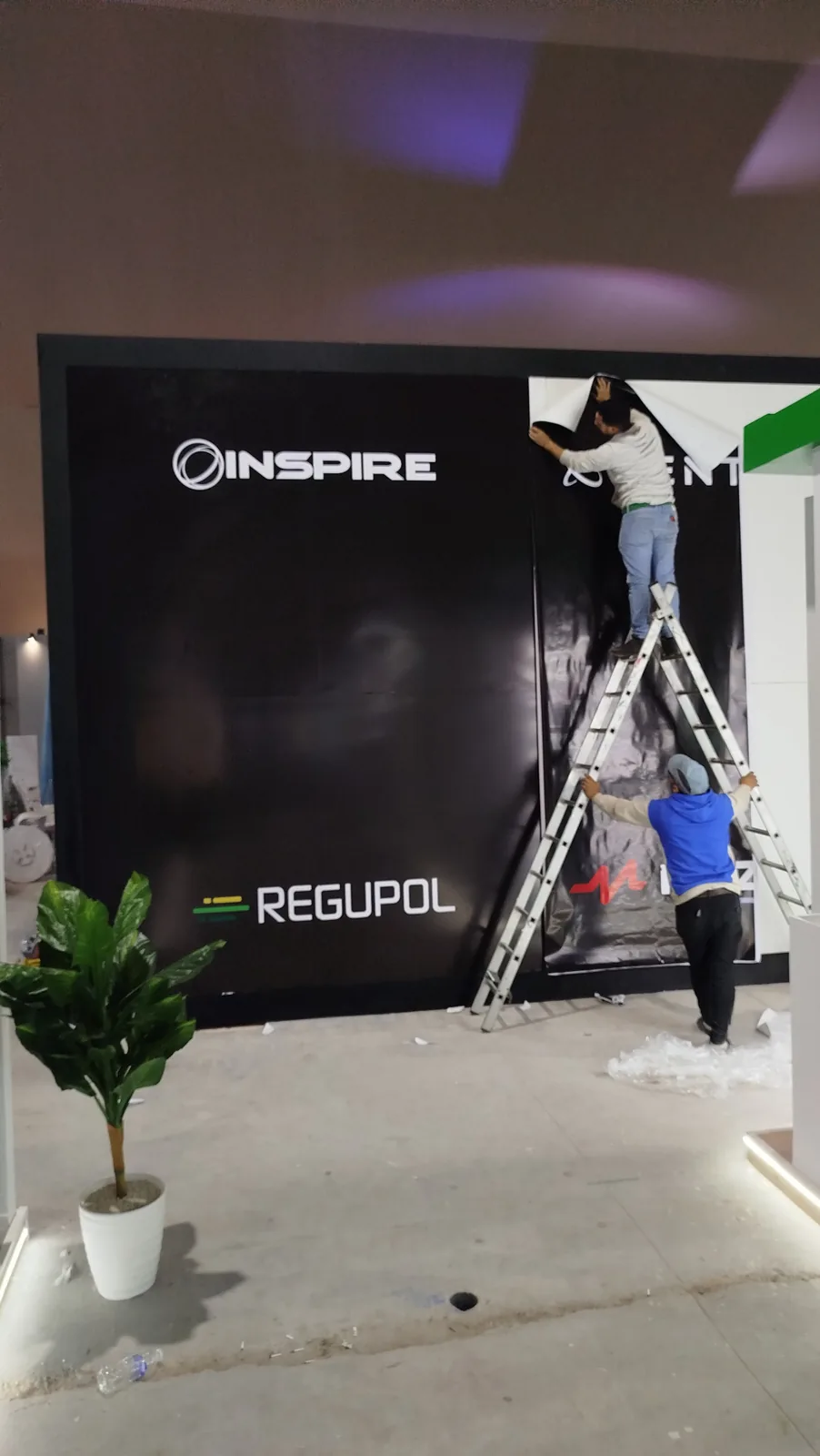 Showroom — branding mural